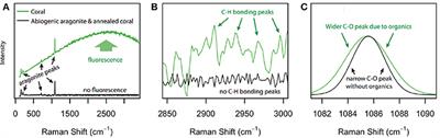 The Origin and Role of Organic Matrix in Coral Calcification: Insights From Comparing Coral Skeleton and Abiogenic Aragonite